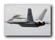 F/A-18F Super Hornet, VFA-122 Flying Eagles, USN