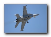 F/A-18F Super Hornet, VFA-122 Flying Eagles, USN