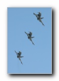 Typhoon T.1s, 29(R) Sqn, RAF