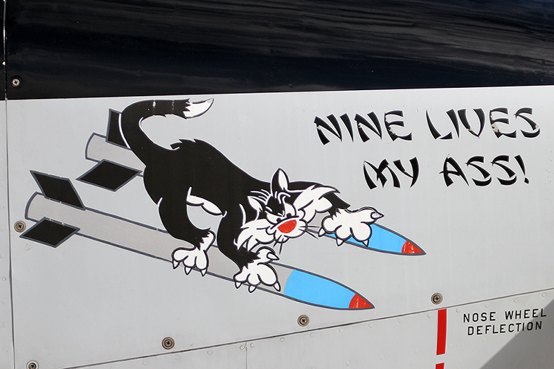 O-1 Bird Dog