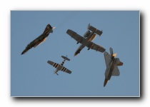 ACC Heritage Flight