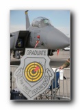F-15E Strike Eagle, 17th WPS, USAF