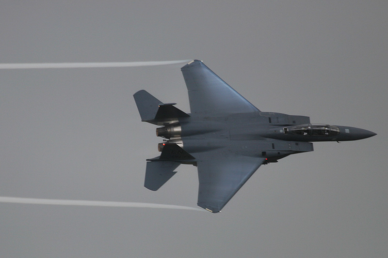 F-15E Strike Eagle, 494th FS, USAF