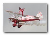 Stearman, Team Guinot