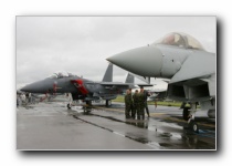 Typhoon F.2, 3(F) Sqn, RAF<BR>F-15E Strike Eagle, 494th FS, USAF