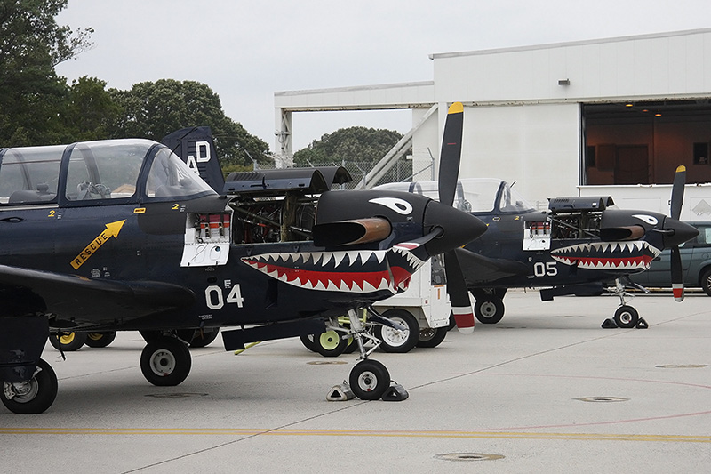 T-34C Tubo Mentor, SFWSL / VFA-106 <i>Gladiators</i>, USN