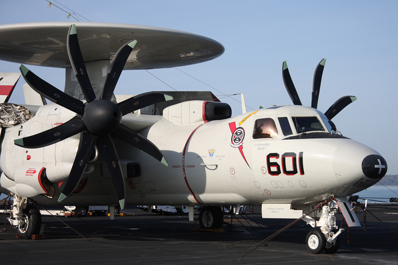 E-2C Hawkeye, VAW-124 <i>Bear Aces</i>, USN