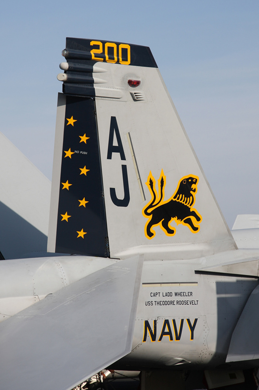 F/A-18F Super Hornet, VFA-213 <i>Black Lions</i>, USN