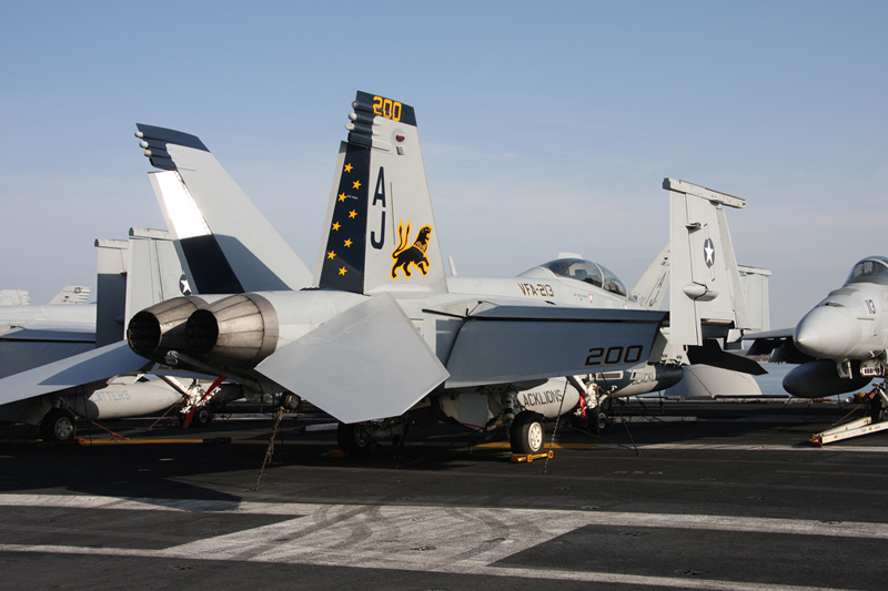 F/A-18F Super Hornet, VFA-213 <i>Black Lions</i>, USN