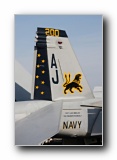 F/A-18F Super Hornet, VFA-213 <i>Black Lions</i>, USN