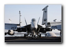 F/A-18F Super Hornet, VFA-213 <i>Black Lions</i>, USN