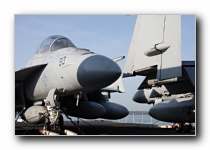 F/A-18F Super Hornet, VFA-213 <i>Black Lions</i>, USN