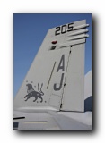 F/A-18F Super Hornet, VFA-213 <i>Black Lions</i>, USN