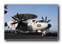 E-2C Hawkeye, VAW-124 <i>Bear Aces</i>, USN