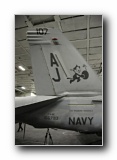 F/A-18E Super Hornet, VFA-31 <i>Tomcatters</i>, USN