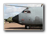 RIAT2010_39.JPG