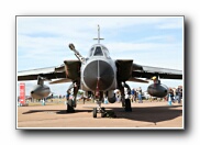 RIAT2010_4.JPG
