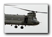 RIAT2010_76.JPG