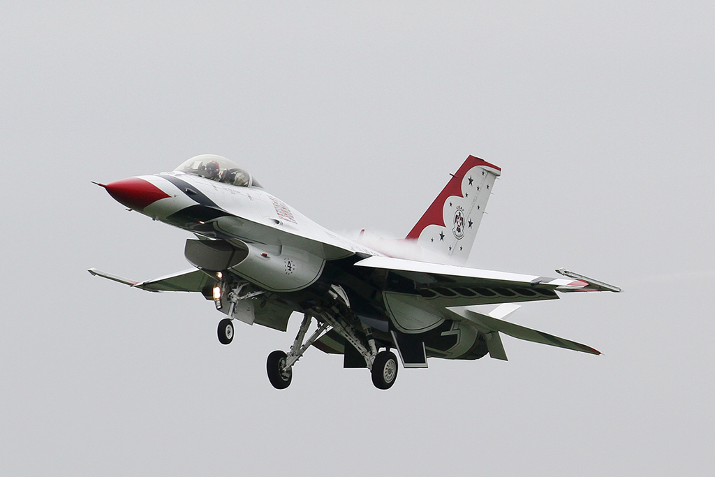 51SqnTbirdArr24