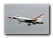 51SqnTbirdArr21.JPG