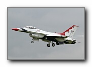 51SqnTbirdArr25.JPG