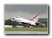 51SqnTbirdArr27.JPG