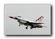 51SqnTbirdArr28.JPG
