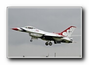 51SqnTbirdArr29.JPG