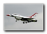 51SqnTbirdArr31.JPG