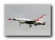 51SqnTbirdArr37.JPG