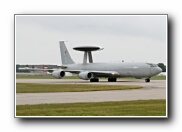 51SqnTbirdArr42.JPG