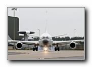 51SqnTbirdArr44.JPG