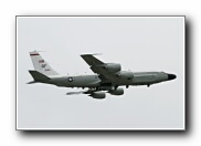 51SqnTbirdArr48.JPG