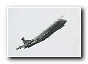 51SqnTbirdArr6.JPG
