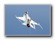 Waddo2011_29.JPG
