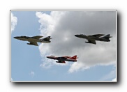 Waddo2011_3.JPG