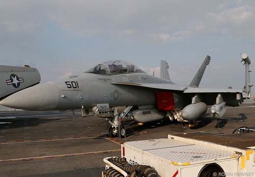 EA-18G Growler - 168267/AB-501 - VAQ-137 Rooks