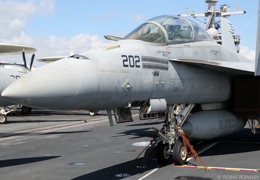 F/A-18F Super Hornet - 166679/AJ-202 - VFA-213 Black Lions