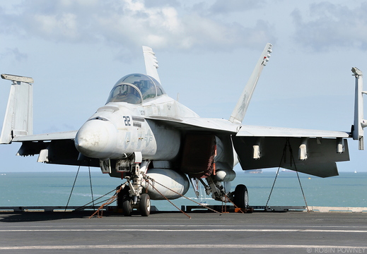 Super Hornets