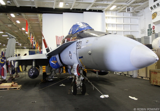 F/A-18C Hornet - 164236/AJ-300 - VFA-15 Valions