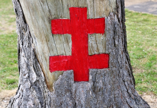 41TES St Omer Cross