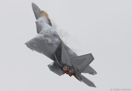 F-22A Raptor - 05-4101/FF - 94FS Hat In The Ring