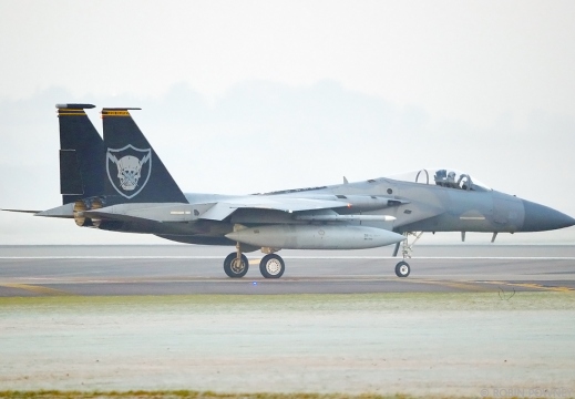 F-15C Eagle - 86-0172/LN - 493FS Grim Reapers - United States Air Force