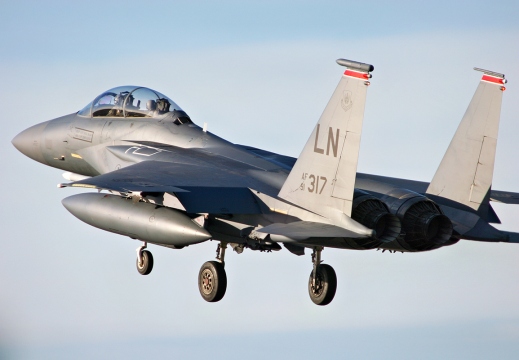 F-15E Strike Eagle - 91-0317/LN - 494FS Panthers / 48FW Liberty Wing - United States Air Force