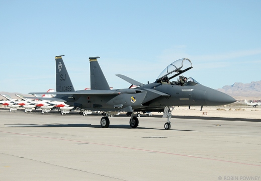 F-15E Strike Eagle - 89-0495/SJ - 336FS Rocketeers