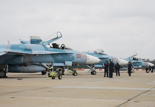 F/A-18C Hornets - 164663/AF-00, AF-01 & AF-14 - VFC-12 Fighting Omars