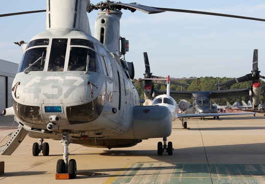 CH-46E Sea Knight - 156432/MQ-437 - HMM-774 Wild Goose