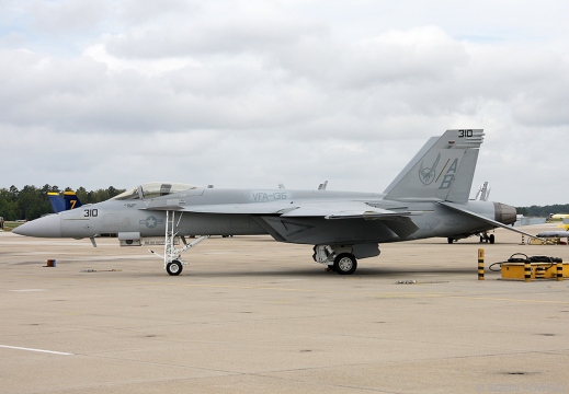 F/A-18E Super Hornet - 166828/AB-310 - VFA-136 Knighthawks	