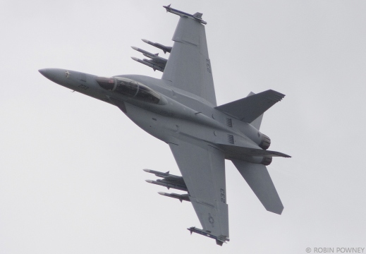 F/A-18F Super Hornet - 166660/AD-233 - VFA-106 Gladiators